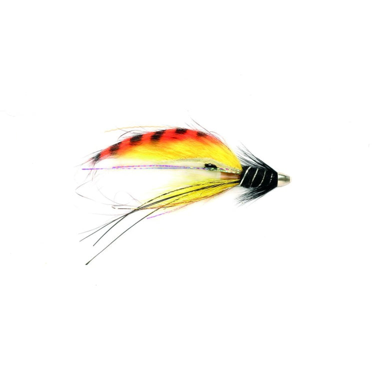 RS SuperSnaelda International Conehead Fly