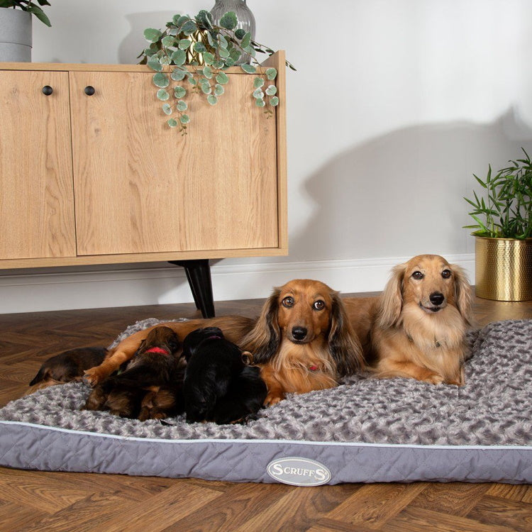 Scruffs Wilton Dog Mattress - Grey