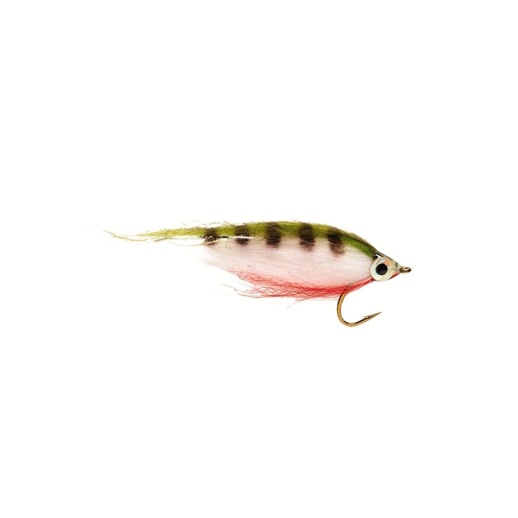Polar Minnow Perch Fly