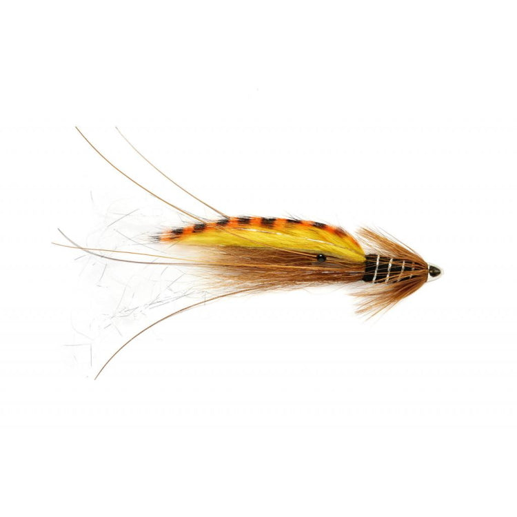 RS Tiger Frances Black Flies