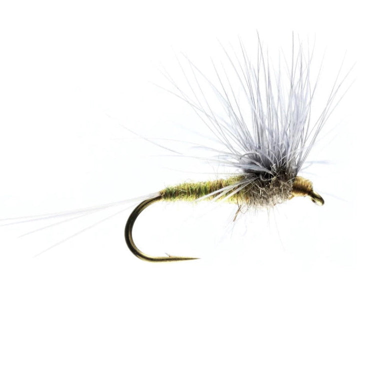 Blue Winged Olive Stacked Hackle Dry Flies
