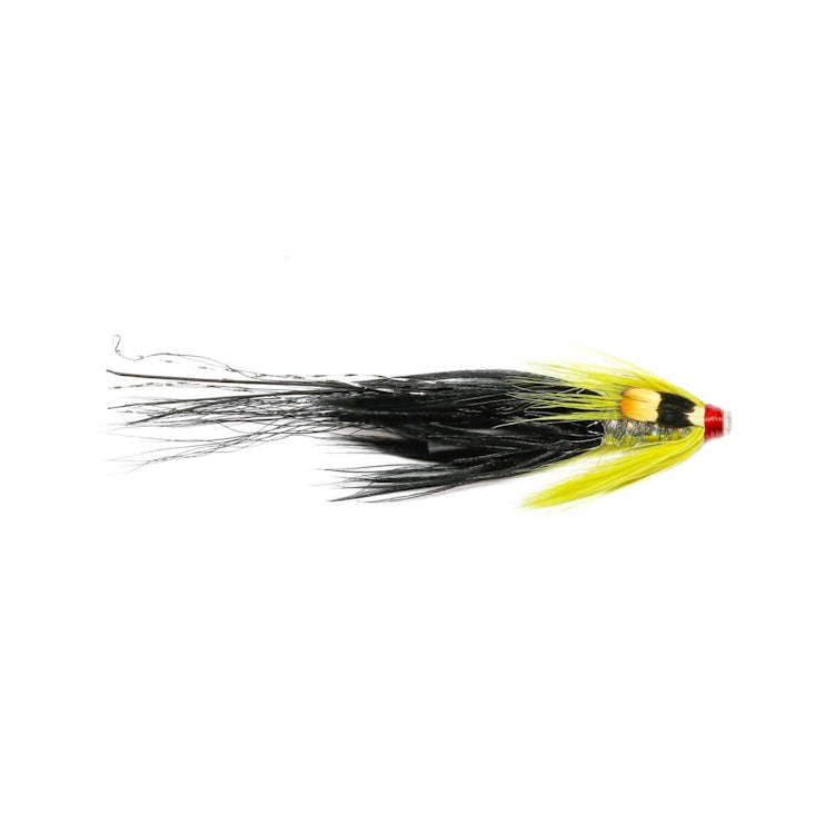 Pot Belly Pig Stealth Copper Tube Fly