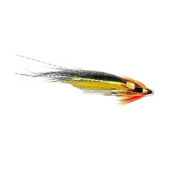 Ally Cascade Dog JC Cone Head Fly