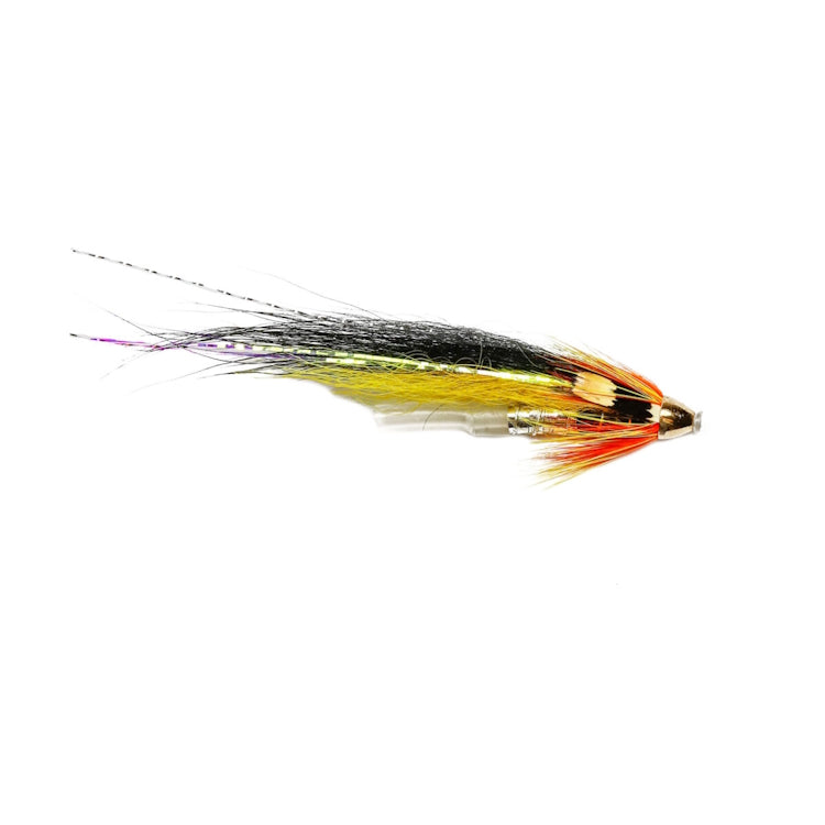 Ally Cascade Dog JC Cone Head Fly