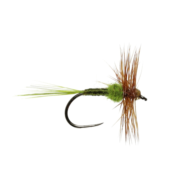 CFC Hatching Olive Hackled Dry Barbless Flies