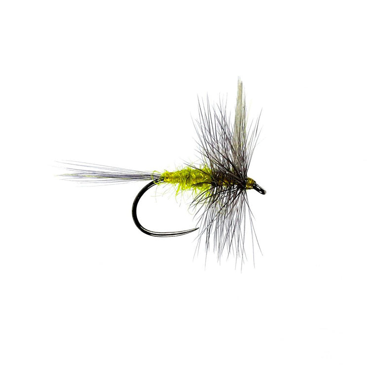 Blue Winged Olive Dry Flies