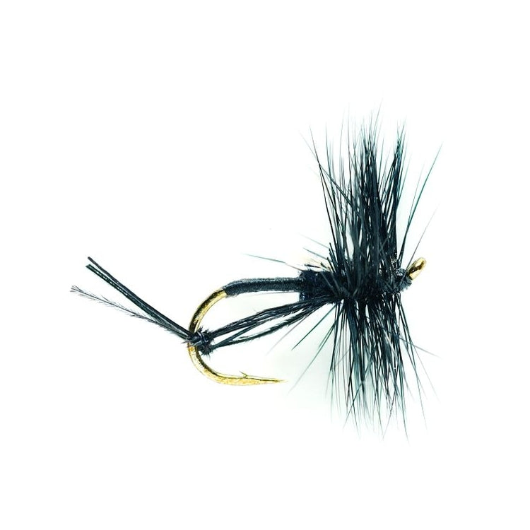 Hawthorne Fly