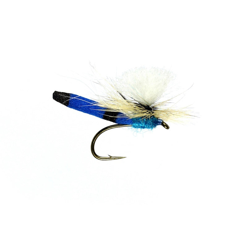 Blue Damsel Flies