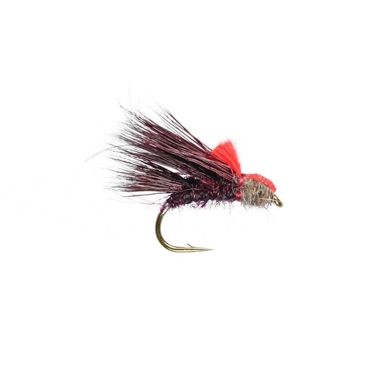 Sedgehog Claret Fly