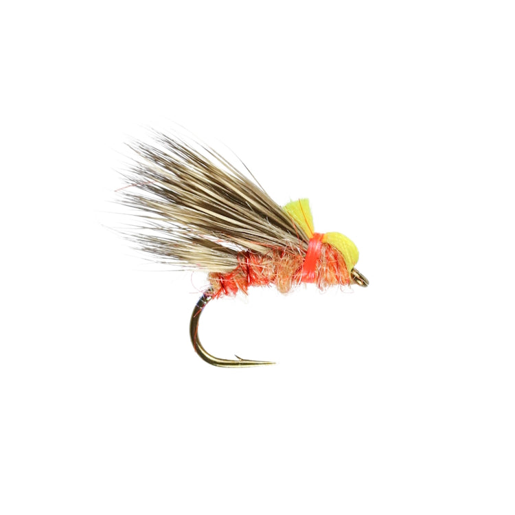 Sedgehog Peach Fly