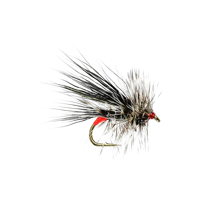Seducer Black Sedge Fly