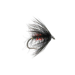CFC Bibio Hackled Wet Flies