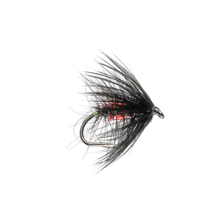 CFC Bibio Hackled Wet Flies