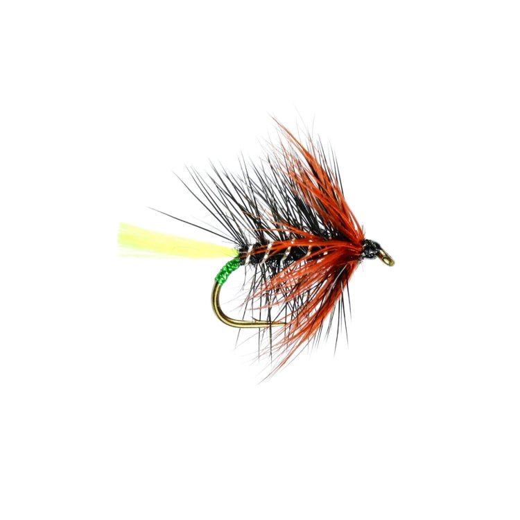 Kate McLaren Yellow Tail Hackled Wet Flies