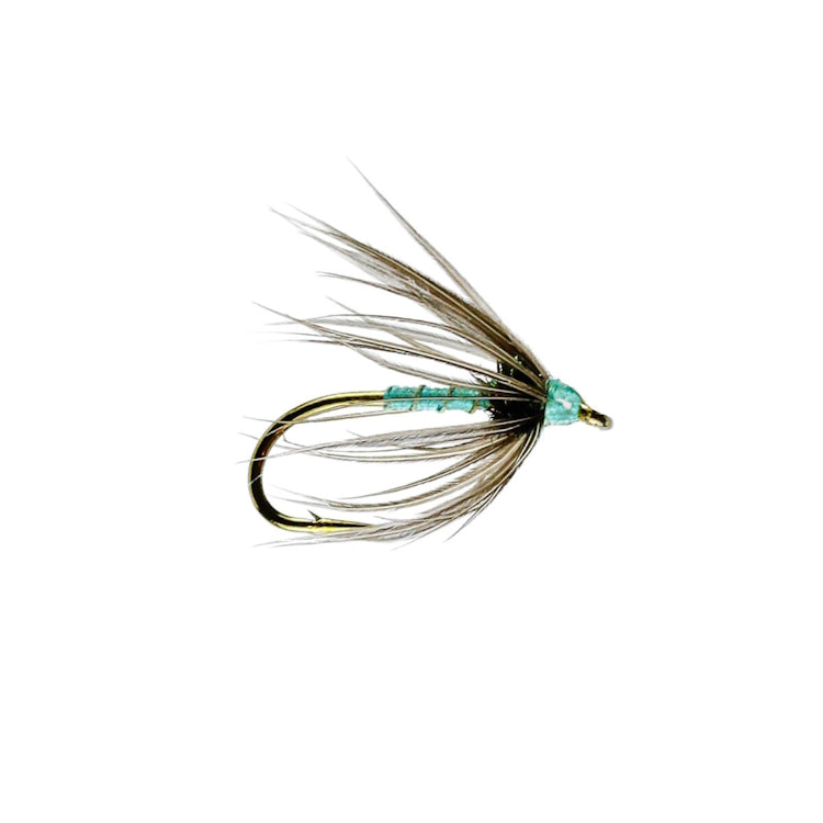 Parsons Fancy Spider Wet Fly