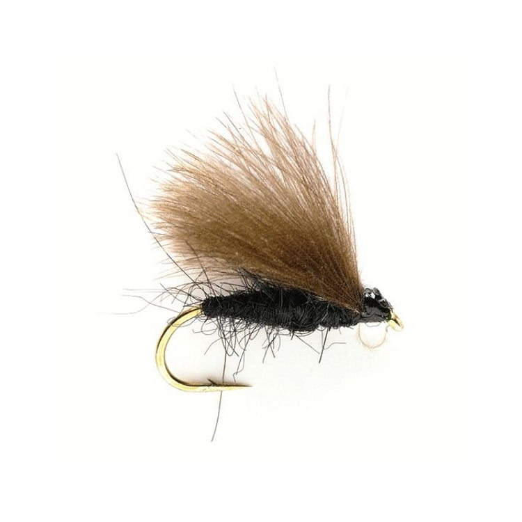 CdC Black Fly