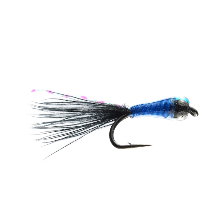 Kingfisher Stalker Bug Fly