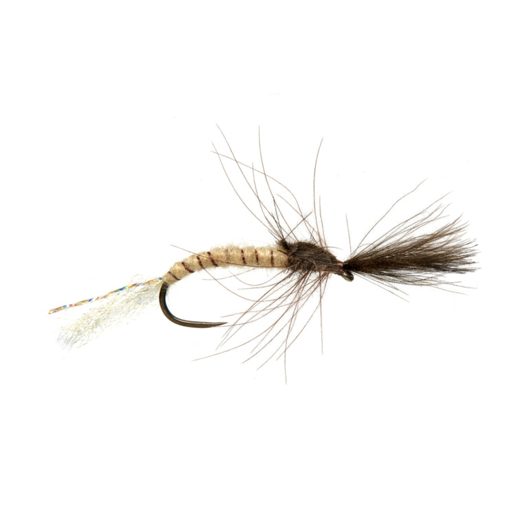 Lewis Mayfly Emerger Fly