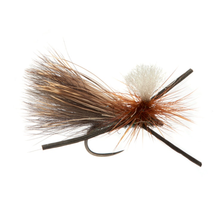Bassetts X Terrestrial Fly