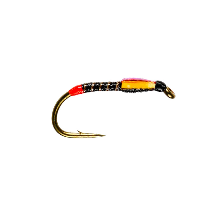 Red Butt Traffic Buzzer Fly