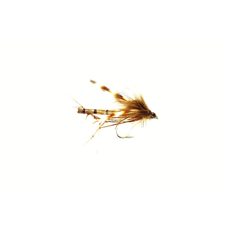 CDC Drowning Daddy Fly