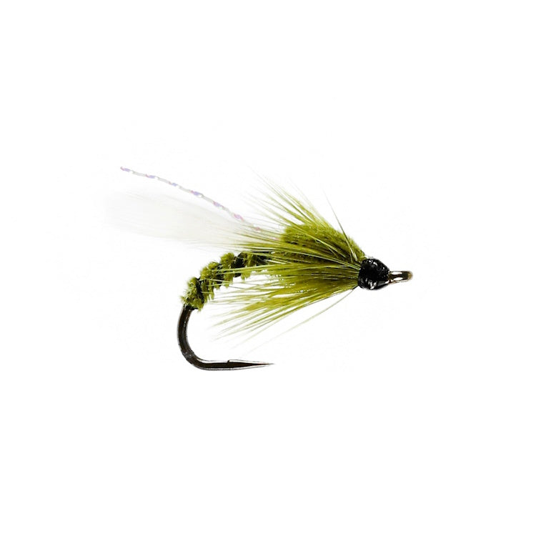 Olive Adult Buzzer Flies