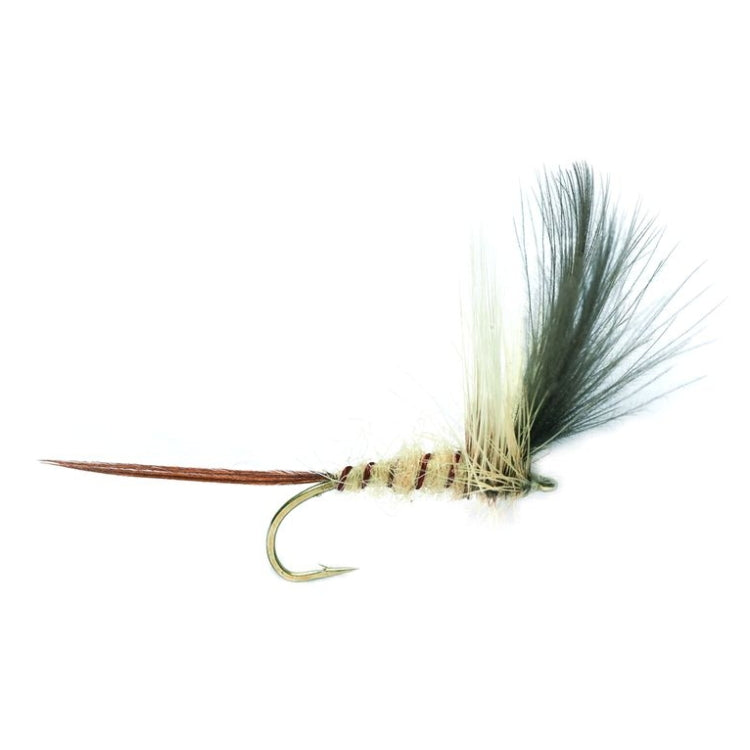 Baz's Mayfly Fly