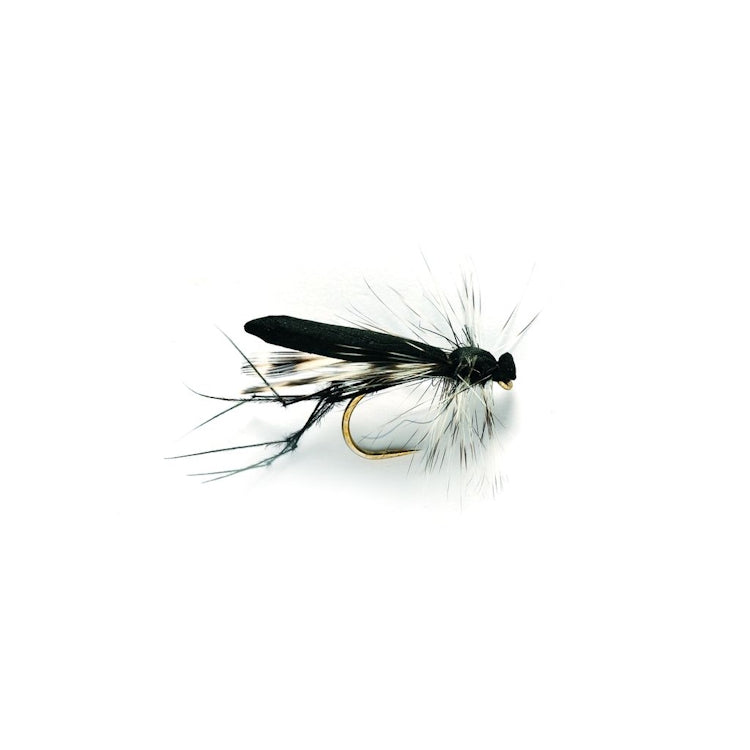 Real Daddy Black Flies