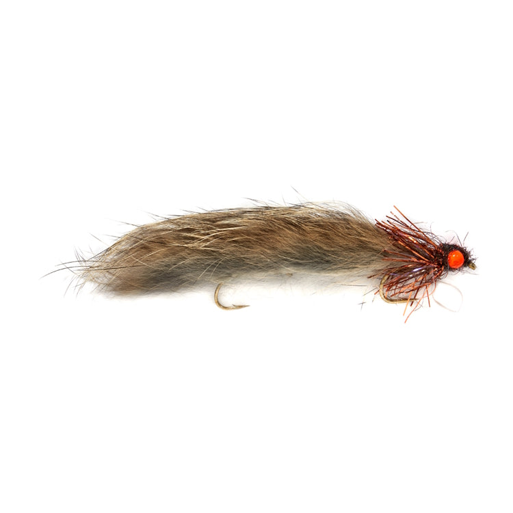Natural Snake Fly