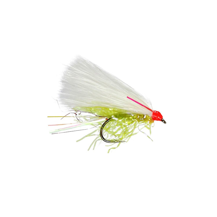 White Cat Flies
