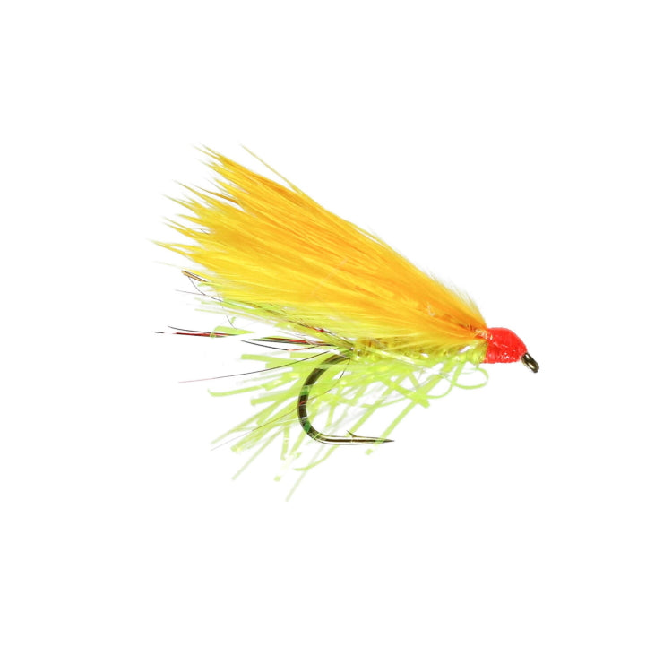 CFC Sunburst Cat Flies