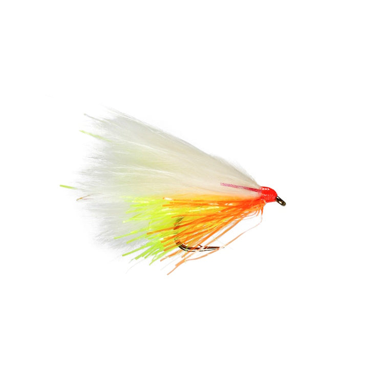 Cut Throat White Cat Flies
