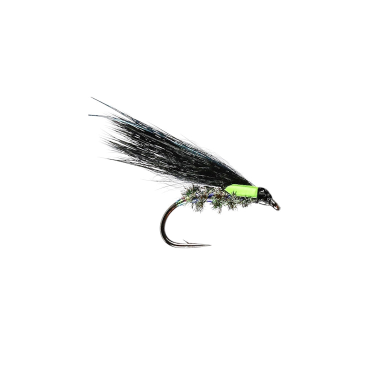 Cormorant Fly