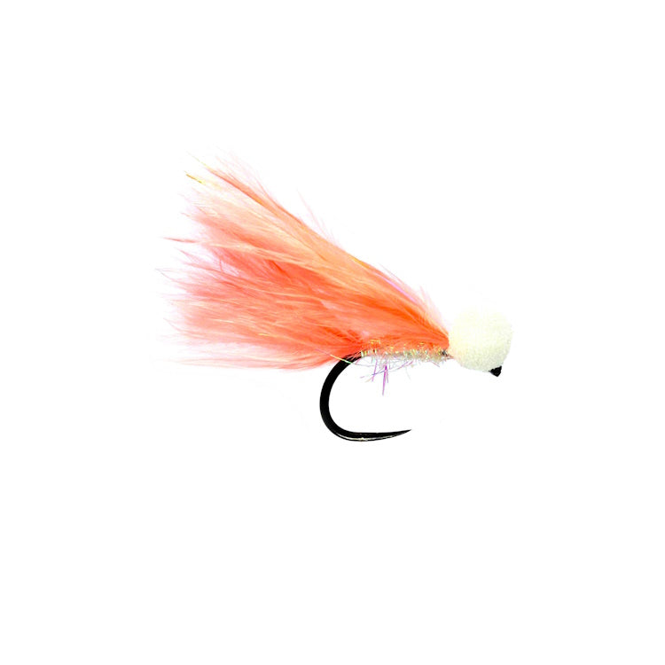 Coral Booby Flies