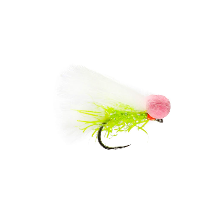 Woofter Booby Fly