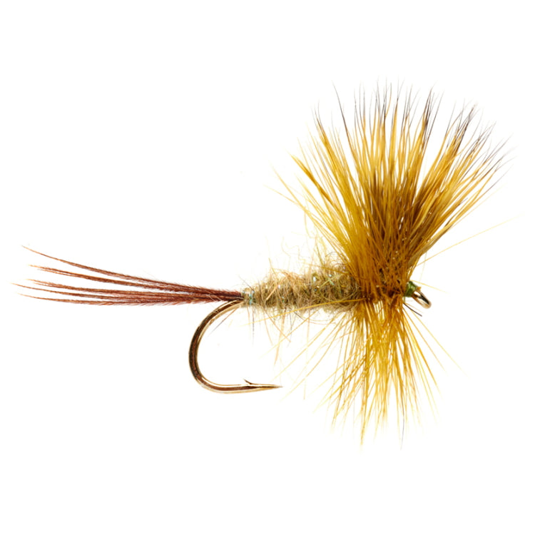 Jackie's Arrow Green Mayfly Fly