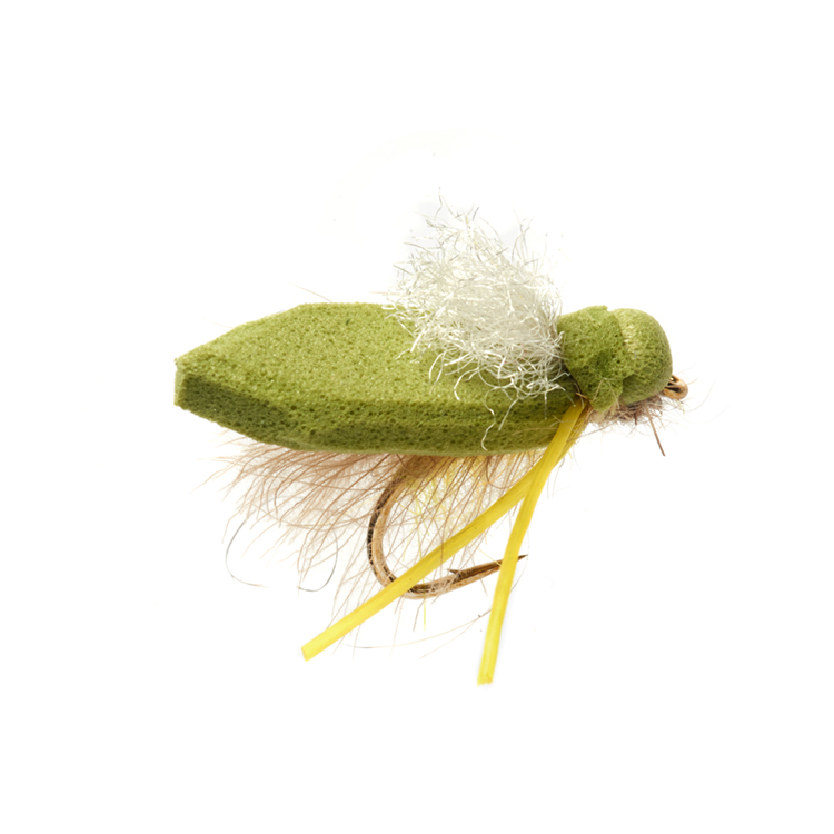 Procters Flip Flop Tussock Cicada White Wing Fly