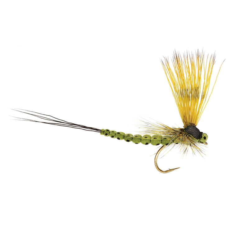 Mohican Mayfly Olive Fly