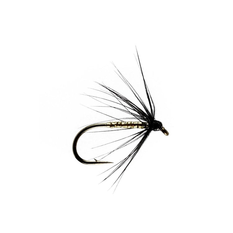 Gold and Black Spider
