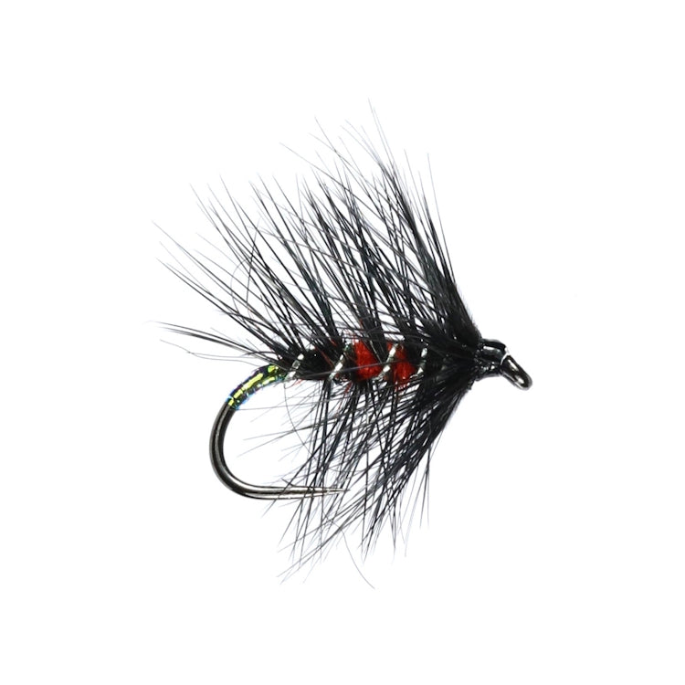 Bibio Hackled Wet Flies