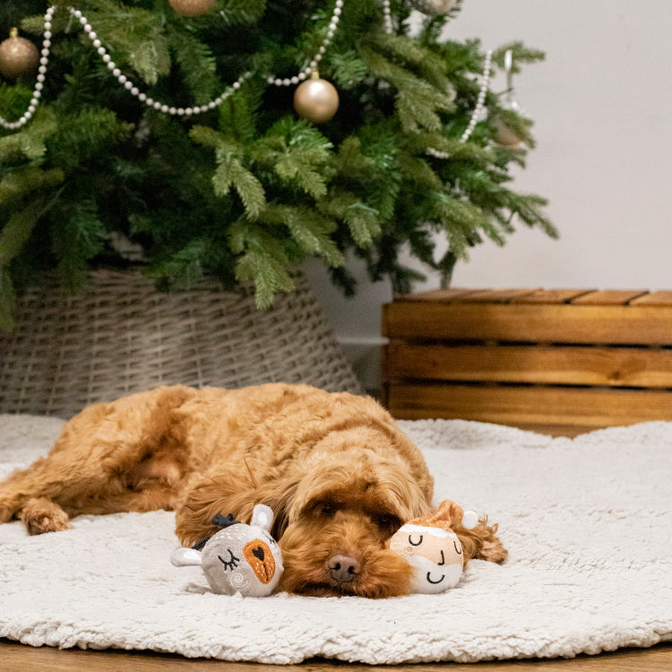 Rosewood Christmas Tennis Ball - Jolly Santa