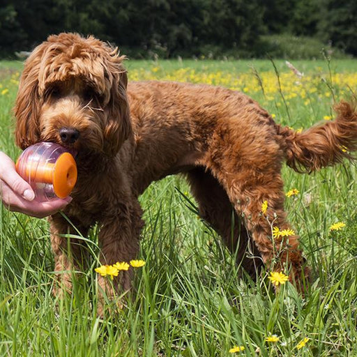 Rosewood Giggling Dog Treat Ball