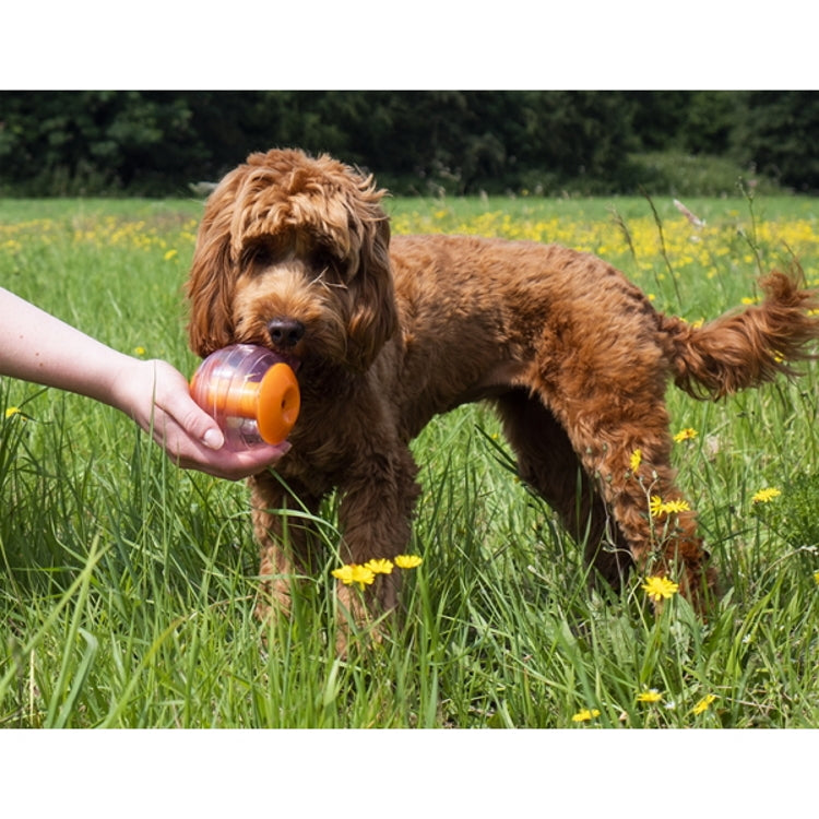 Rosewood Giggling Dog Treat Ball