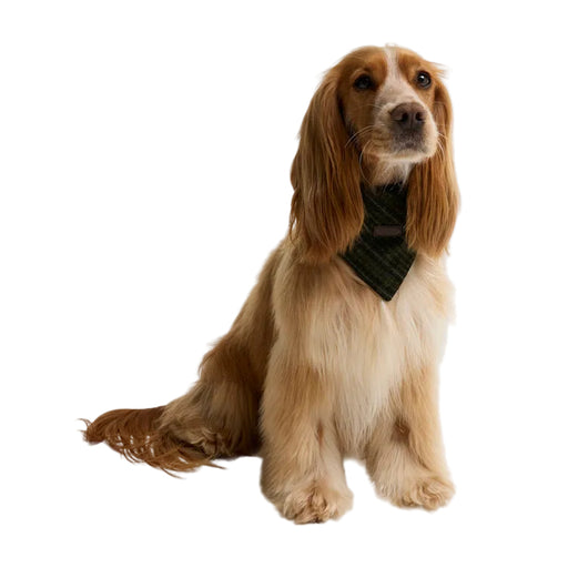 Barbour Dog Bandana - Olive Check