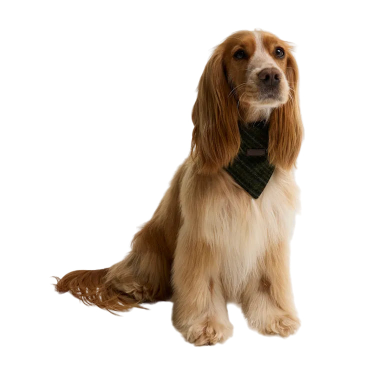 Barbour Dog Bandana - Olive Check