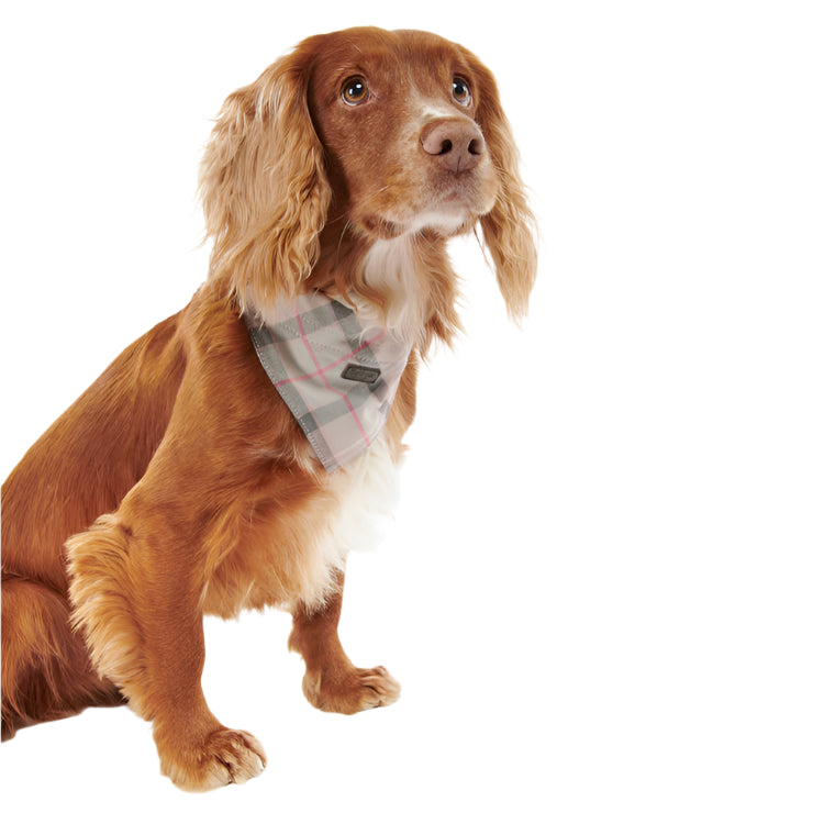 Barbour Tartan Dog Bandana - Taupe/Pink Tartan