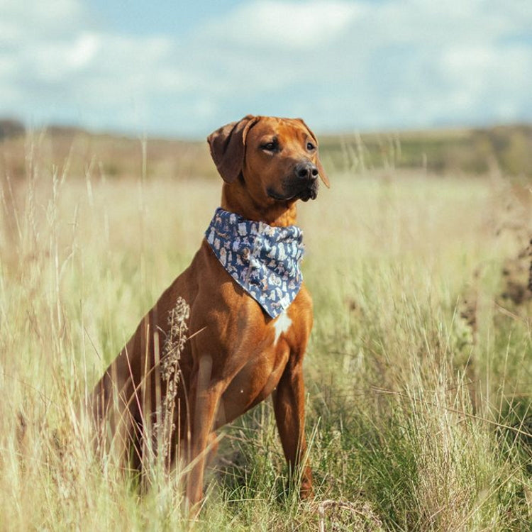 Wrendale Designs Dog Bandana - John Norris