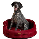 Joules Chesterfield Pet Bed - Burgundy