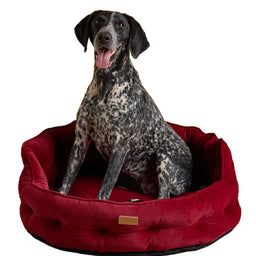 Joules Chesterfield Pet Bed - Burgundy