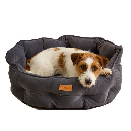 Joules Chesterfield Pet Bed - Grey